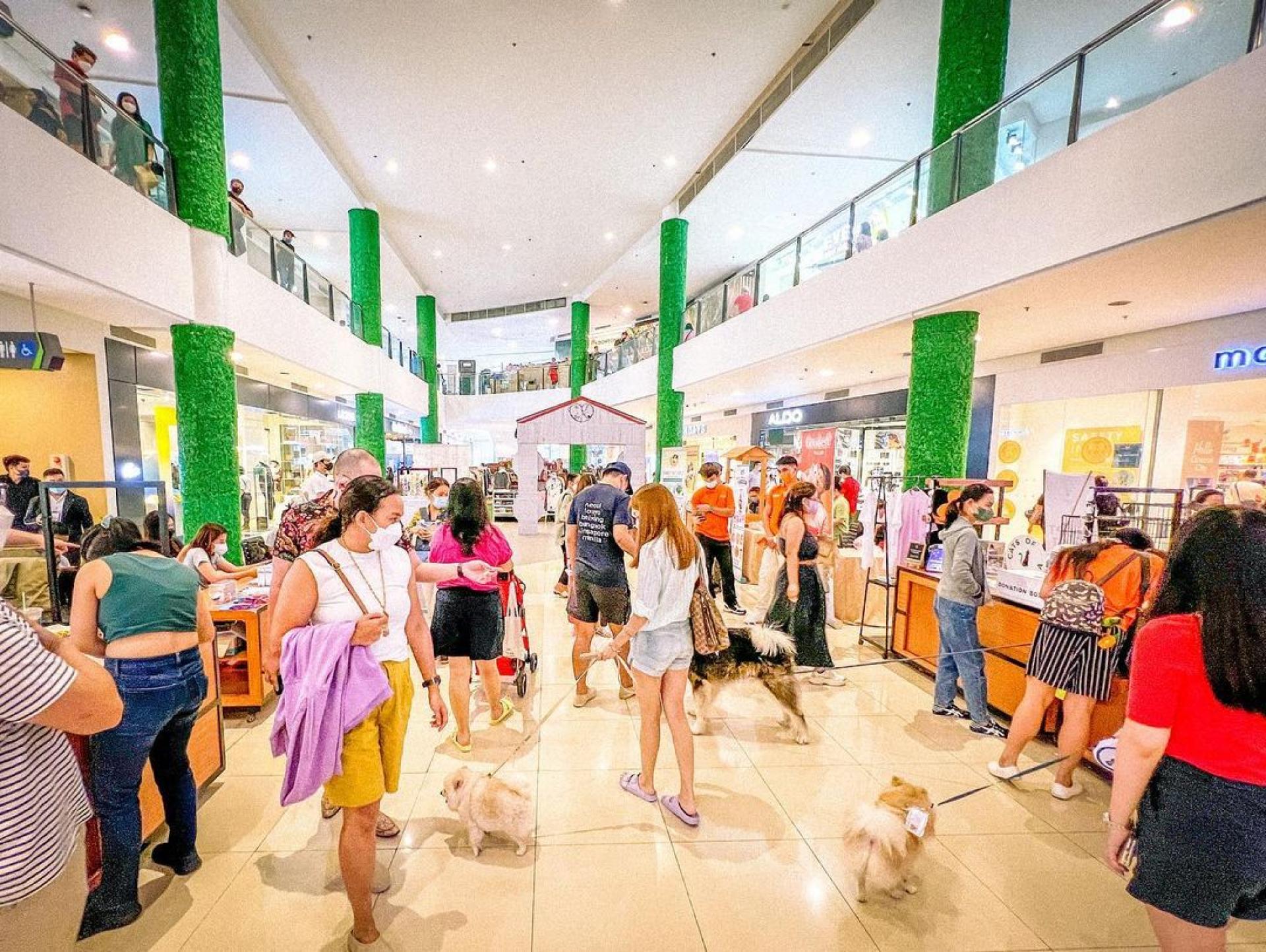U.P. Town Center: Paws & Play Year 5