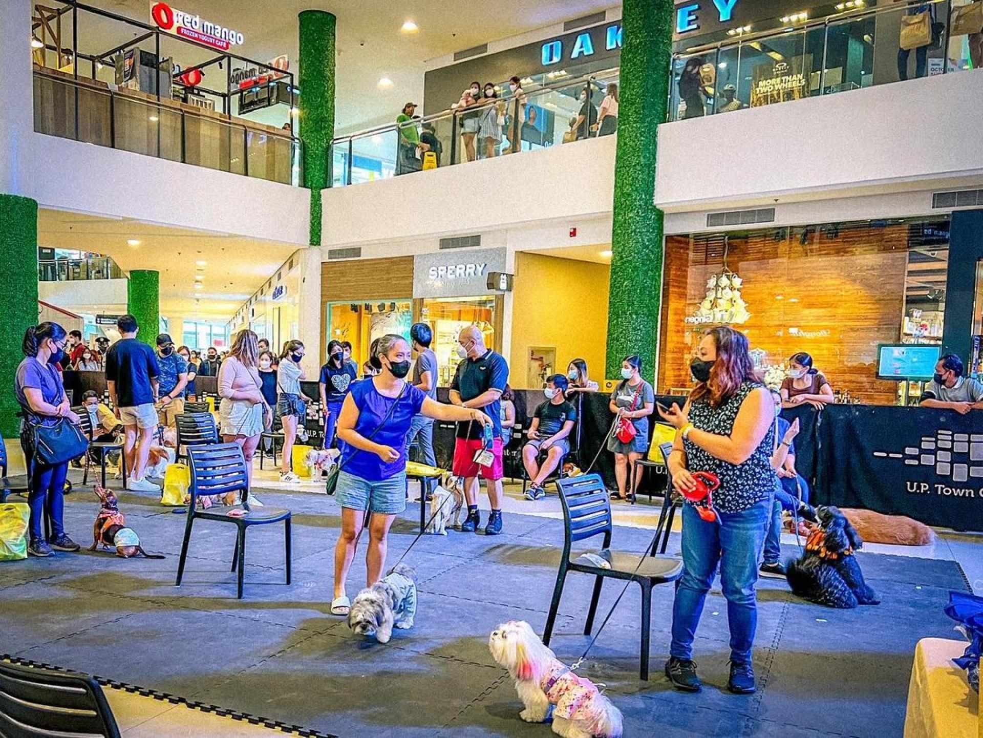 U.P. Town Center: Paws & Play Year 5