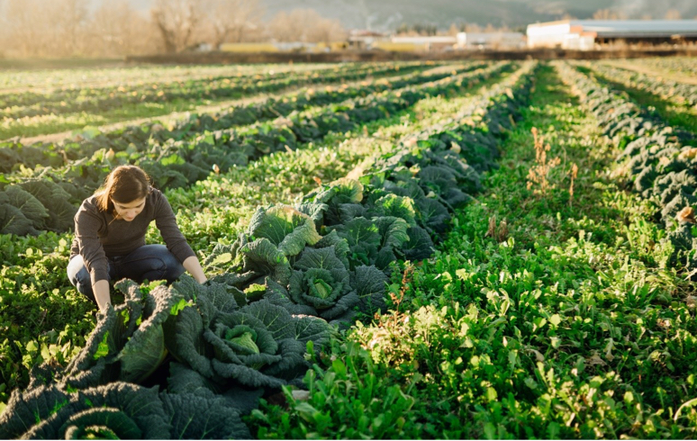 Sappi’s Ideas That Matter Program Trail Blazes Corporate Social Responsibility for Over 20 Years  