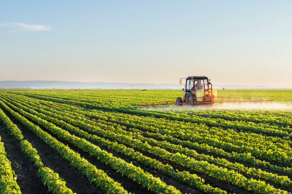 AI and Data Science working at the heart of the global food supply chain