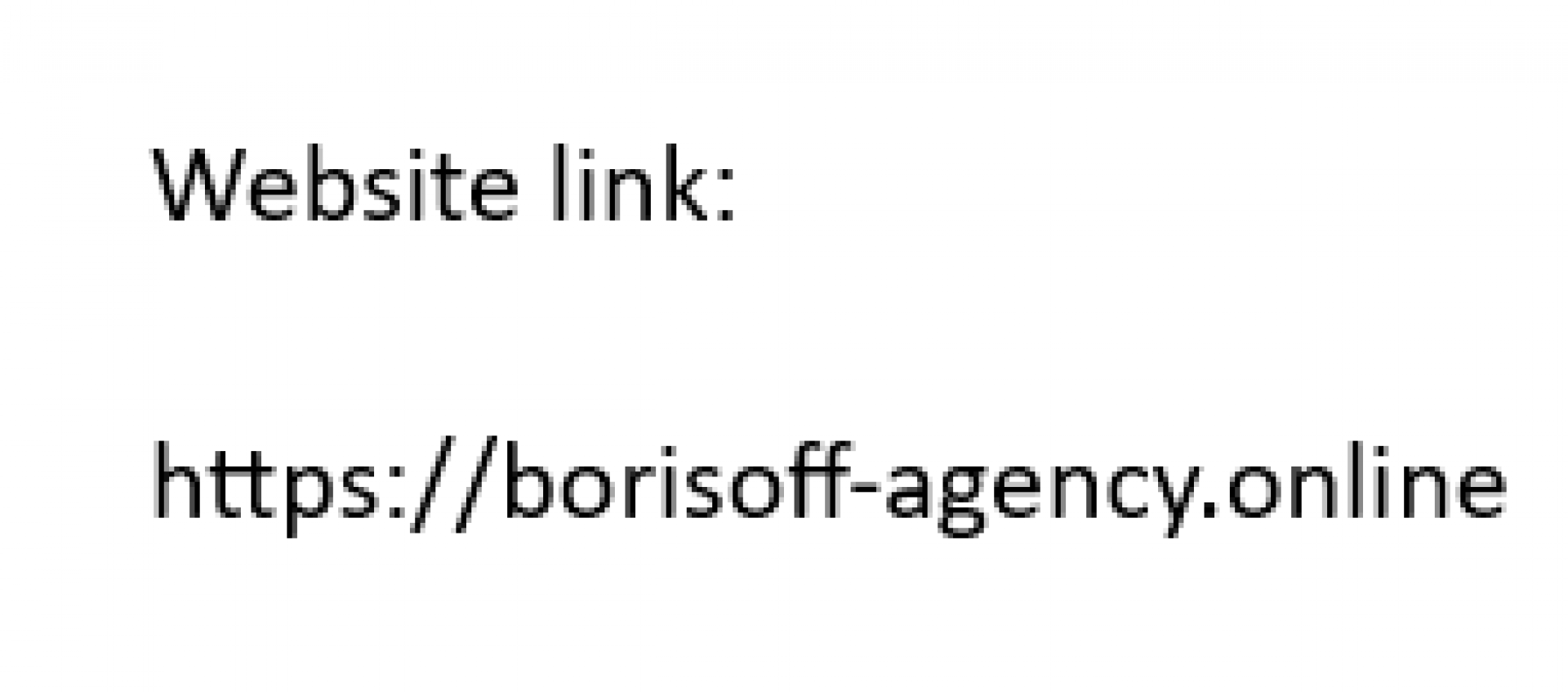 Borisoff Agency 2023 entry