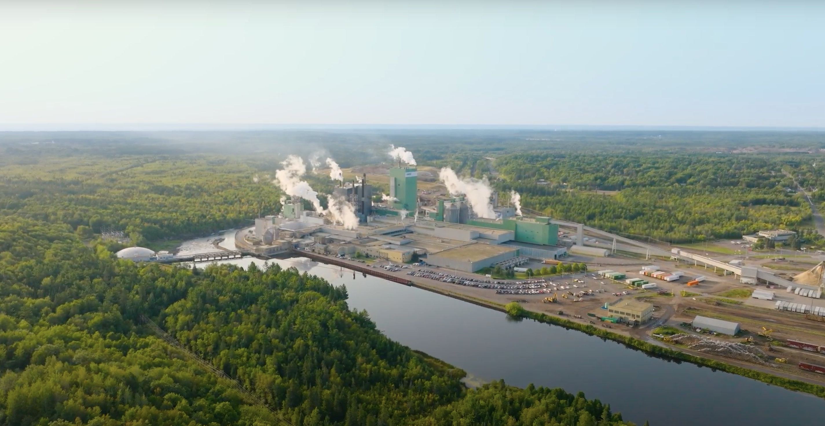 Sappi's Sustainable Legacy: The Transformative Power of Trees