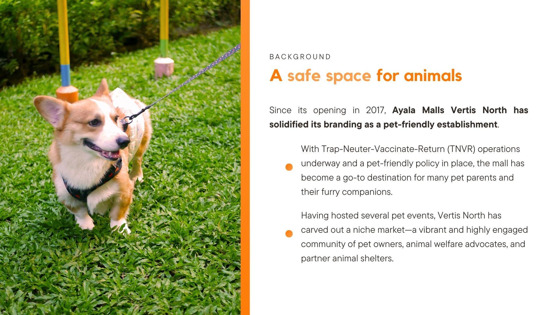 PAW Day: PAWsitive Connections