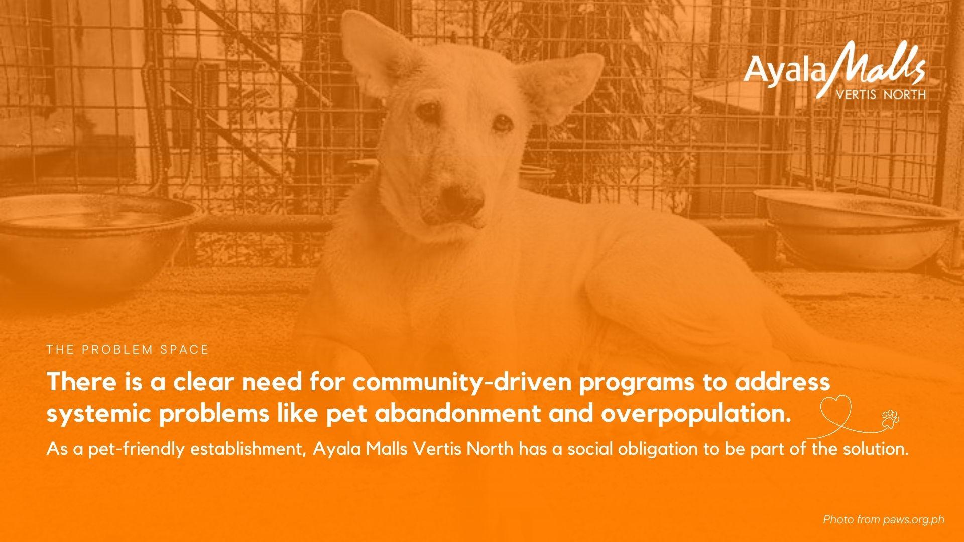 PAW Day: PAWsitive Connections