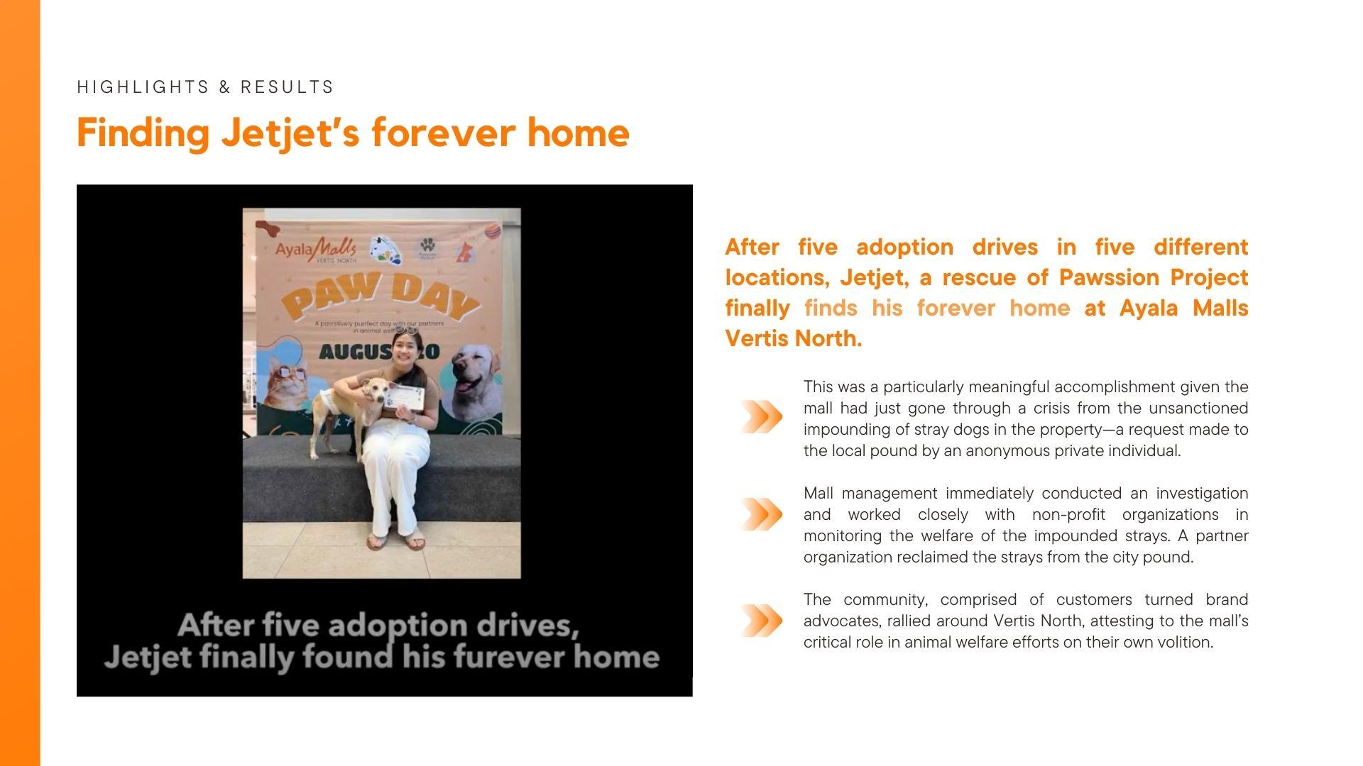 PAW Day: PAWsitive Connections