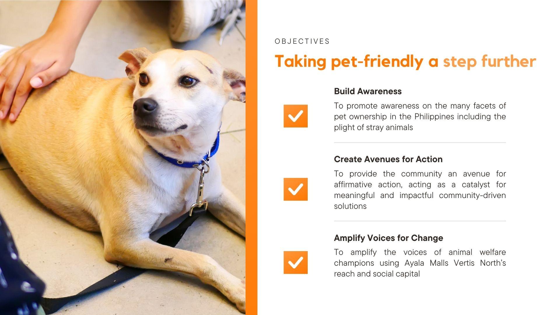 PAW Day: PAWsitive Connections