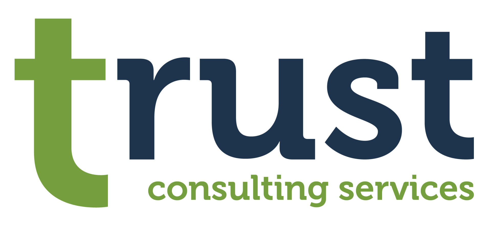 Trust Consulting Services Breaks Into the Tech Consulting Sector