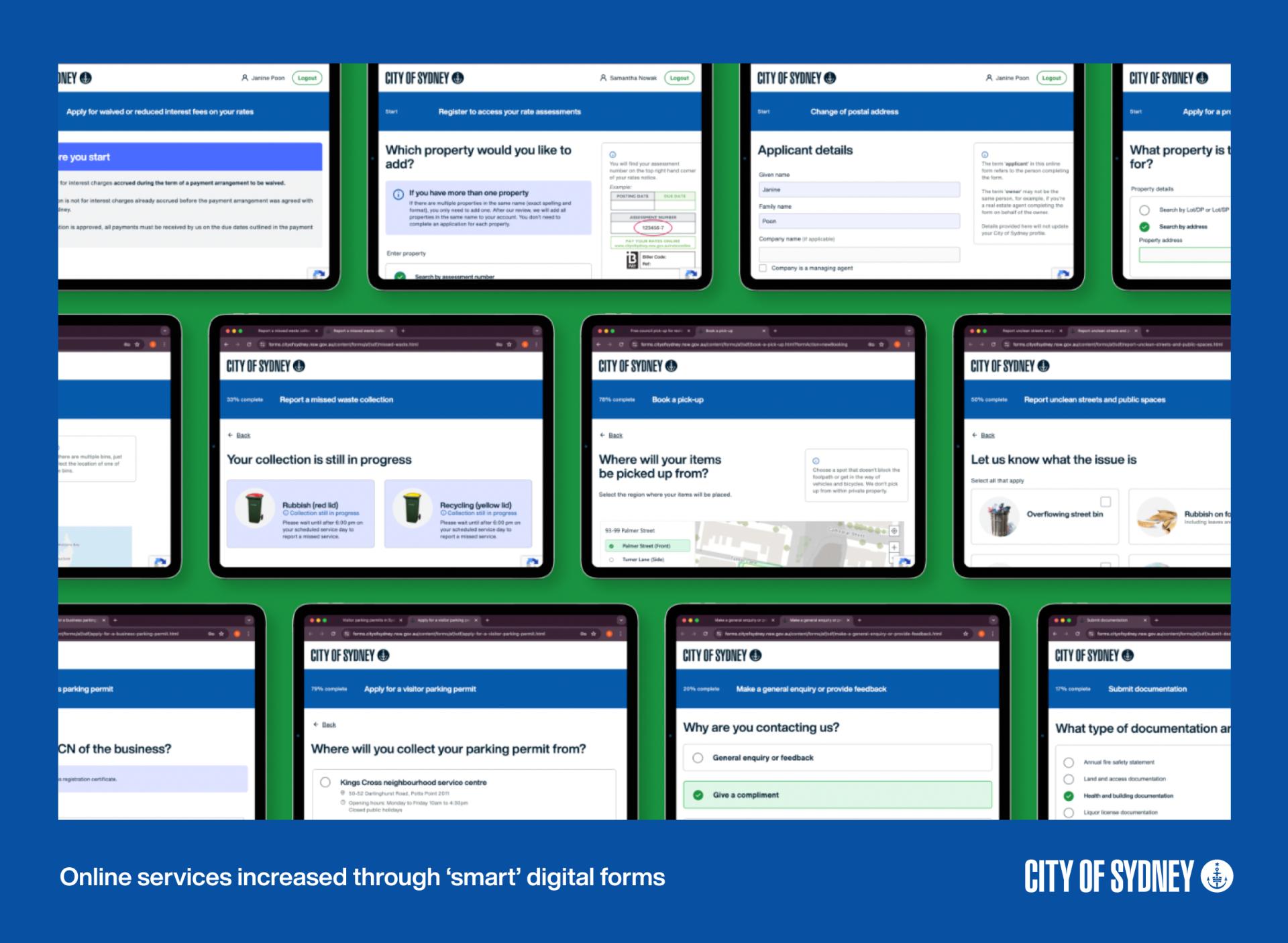CityConnect Ecosystem: Transforming the Customer Digital Experience in Government. 