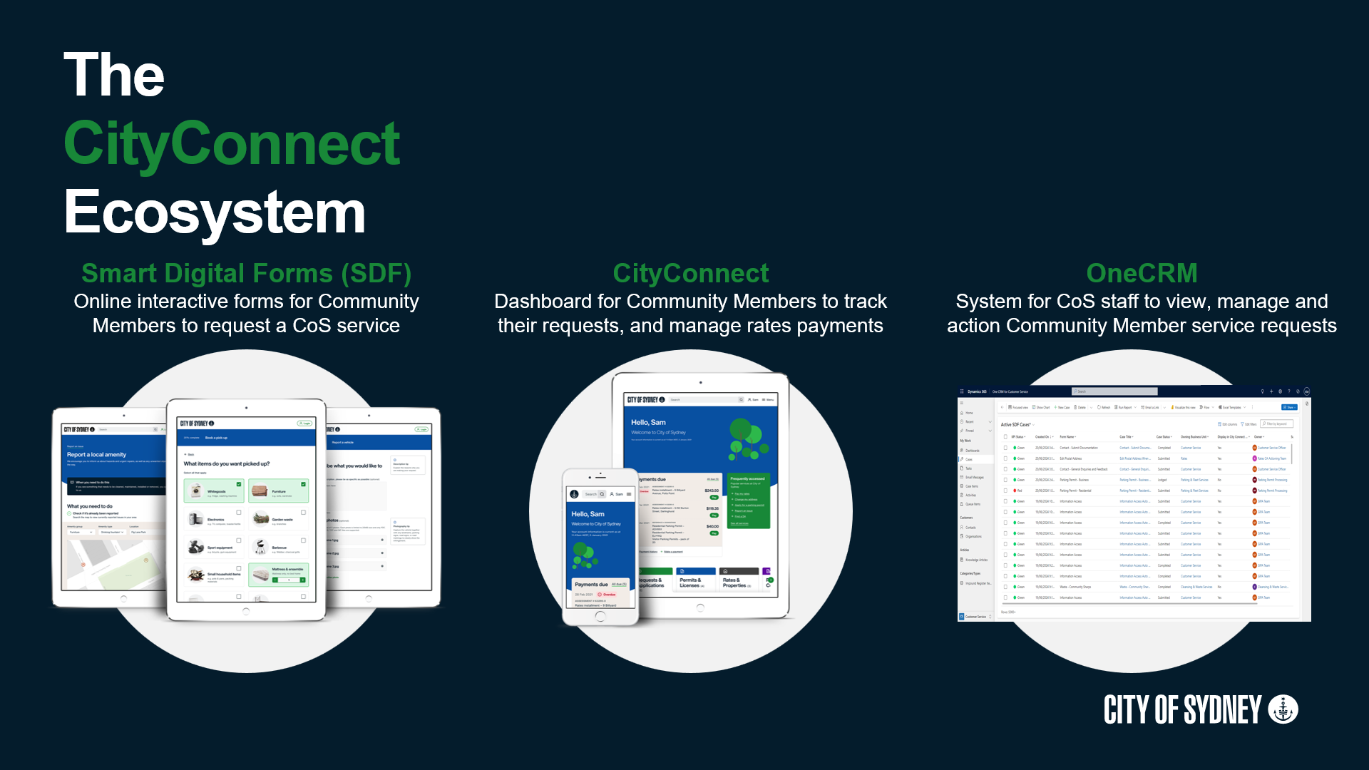 CityConnect Ecosystem: Transforming the Customer Digital Experience in Government. 