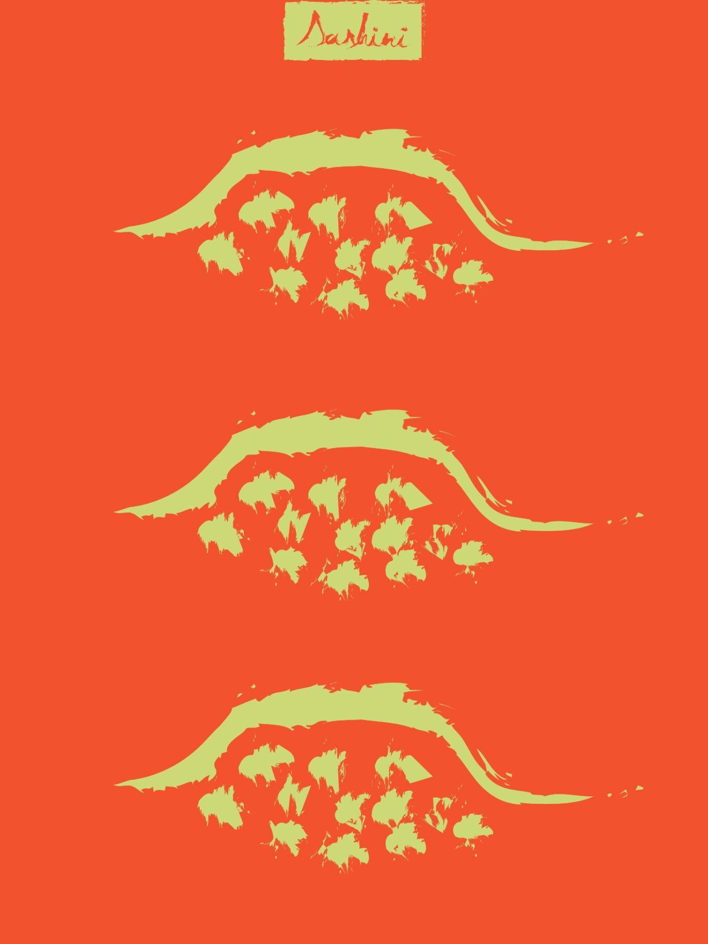 Dashini Sushi - Creative Marketing Development