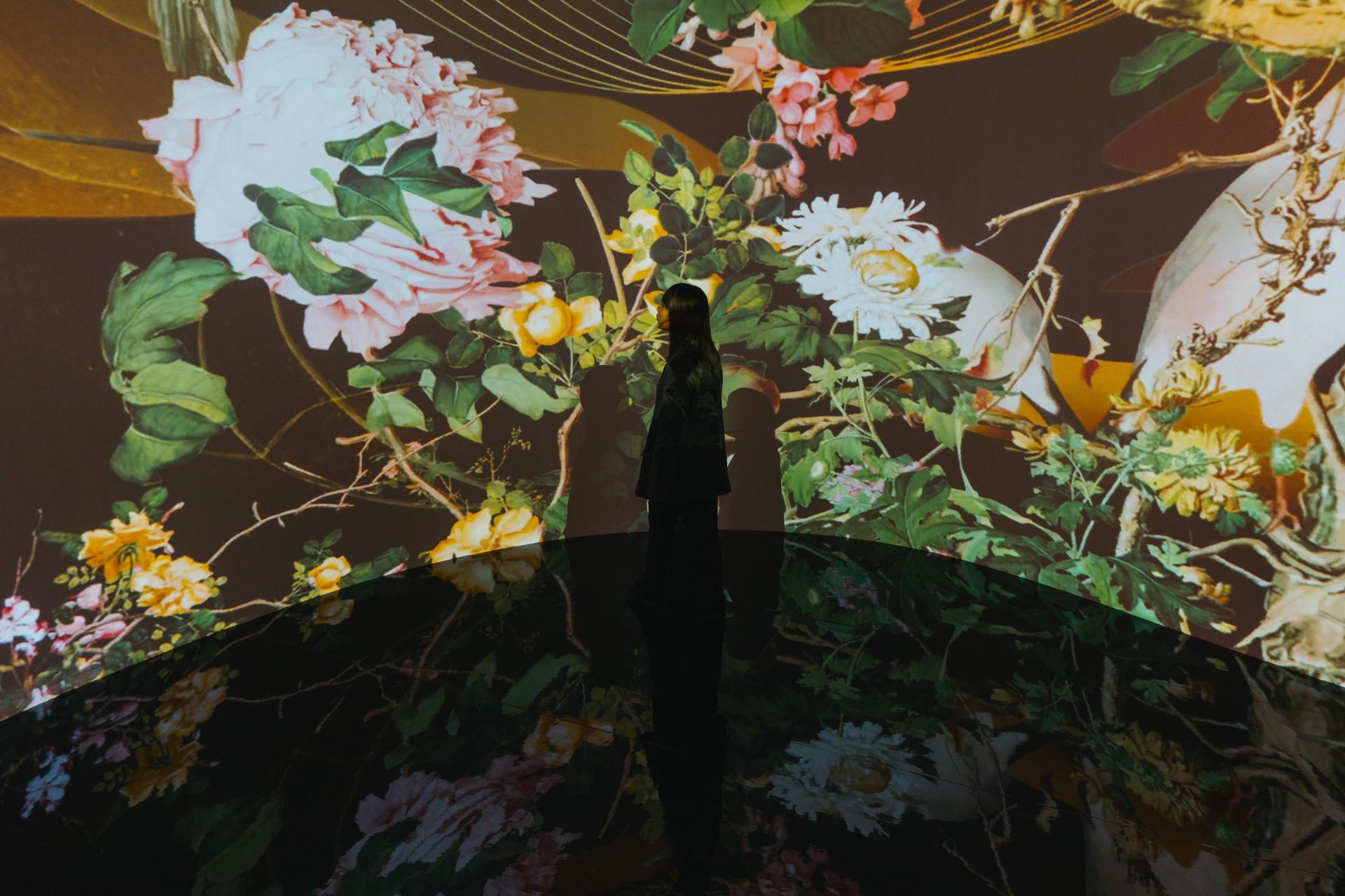 Through the City Scroll: Digital Exhibition