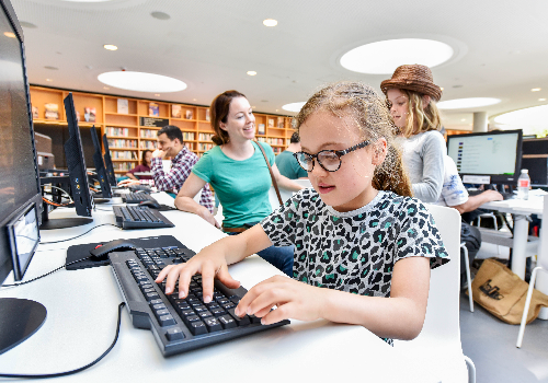 Bridging the Digital Gap Through Public Access IT Transformation