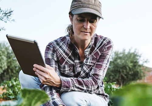 AI and Data Science working at the heart of the global food supply chain