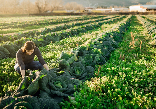 Sappi’s Ideas That Matter Program Trail Blazes Corporate Social Responsibility for Over 20 Years  