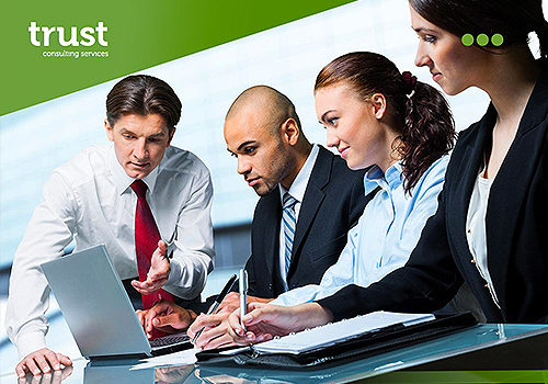 Trust Consulting Services Explodes Onto the Scene