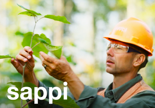Sappi's Sustainable Legacy: The Transformative Power of Trees