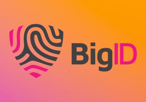 BigID
