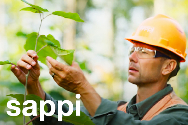 Power of Trees campaign won as a Platinum for the 