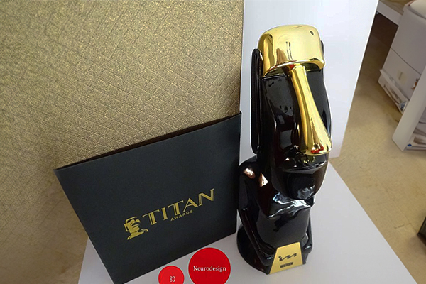 The founder of Onou project by Neurodesign company, received a great prize, on a global scale