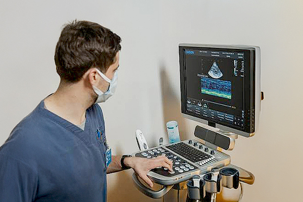 Team Work Makes the Dream Work